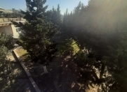 Satılır 4 sot torpaq Əhmədli