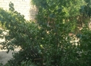 Satılır 5 otaqlı 6 m2 köhnə tikili Maştağa