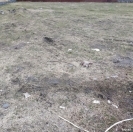 Satılır 10 sot torpaq Qaradağ r.