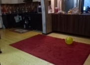 Satılır 4 otaqlı 160 m2 həyət evi Binə