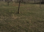 Satılır 18 sot torpaq İsmayıllı