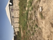 Satılır 6 sot torpaq Digah