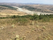 Satılır 12 sot torpaq Şamaxı