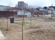 Satılır 3 sot torpaq Xocəsən