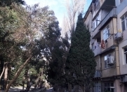 Satılır 2 otaqlı 36 m2 köhnə tikili 5 mkr