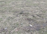 Satılır 6 sot torpaq Qax