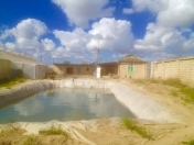 Satılır 3 otaqlı 50 m2 həyət evi Salyan