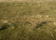 Satılır 4 sot torpaq Y.Suraxanı