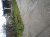 Satılır 4 otaqlı 120 m2 həyət evi Bülbülə