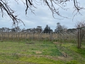 Satılır 14.4 sot torpaq Şüvəlan