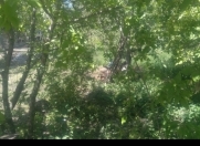 Satılır 7 sot torpaq Qusar