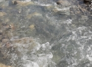 Satılır 8 sot torpaq İsmayıllı