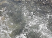 Satılır 5 otaqlı 80 m2 həyət evi İsmayıllı