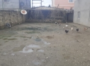 Satılır 2 sot torpaq Savalan