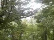 Satılır 18 sot torpaq Şamaxı