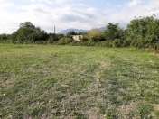 Satılır 59 sot torpaq Qəbələ