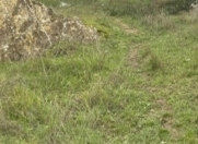 Satılır 7 sot torpaq 6 mkr