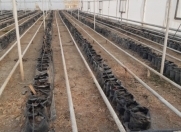 Satılır 10 otaqlı 1000 m2 obyekt Perekeşkül