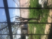 Satılır 5 otaqlı 800 m2 həyət evi Gəncə