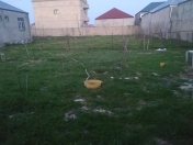 Satılır 9 sot torpaq Y.Ramana