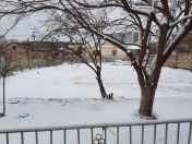 Satılır 4 sot torpaq Bülbülə