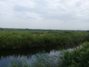 Satılır 7800 sot torpaq Saatlı