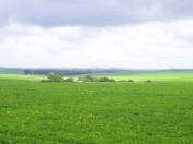 Satılır 197.4 sot torpaq Perekeşkül