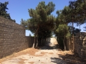 Satılır 17 sot torpaq Albalı