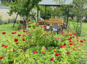 Satılır 20 sot torpaq Qəbələ