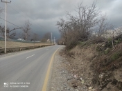 Satılır 40 sot torpaq Qəbələ