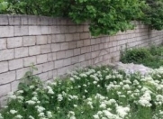 Satılır 6.5 sot torpaq Xudat