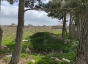 Satılır 200 sot torpaq Türkan