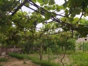 Satılır 5 otaqlı 140 m2 həyət evi Binə