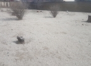 Satılır 9 sot torpaq Sumqayıt