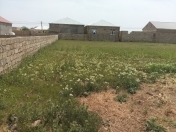 Satılır 20 sot torpaq Binə