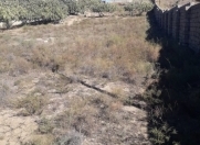 Satılır 10 sot torpaq Nardaran