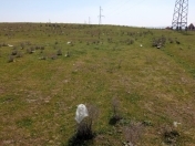 Satılır 6 sot torpaq Saray