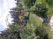 Satılır 7 otaqlı 360 m2 bağ evi Binə