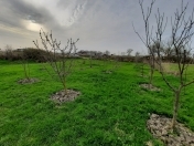 Satılır 7 sot torpaq Xudat