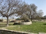 Satılır 115 sot torpaq Saray