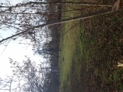 Satılır 8 sot torpaq Xaçmaz