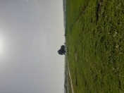 Satılır 5000 sot torpaq Şabran