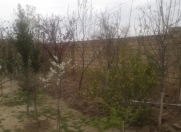 Satılır 12 sot torpaq Novxanı