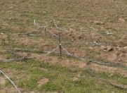 Satılır 25 sot torpaq Saray