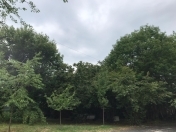 Satılır 6 otaqlı 162 m2 həyət evi Qəbələ