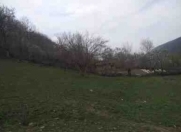 Satılır 8 sot torpaq Quba