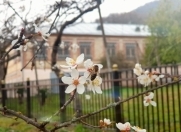 Satılır 5 otaqlı 200 m2 bağ evi Zaqatala