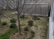 Satılır 2 sot torpaq Buzovna