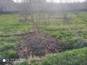 Satılır 4 sot torpaq Xudat