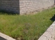 Satılır 6 sot torpaq Maştağa